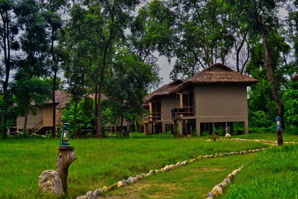 Temple Tiger Green Jungle Resort Kawasoti Esterno foto